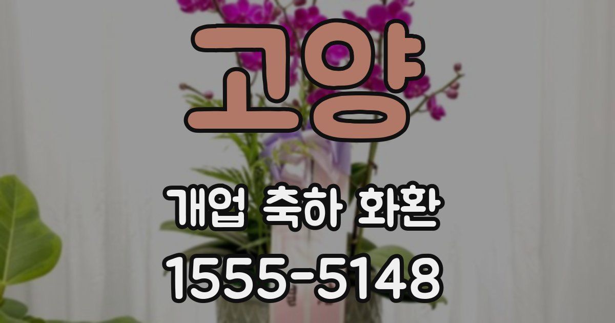고양 개업 축하 화환