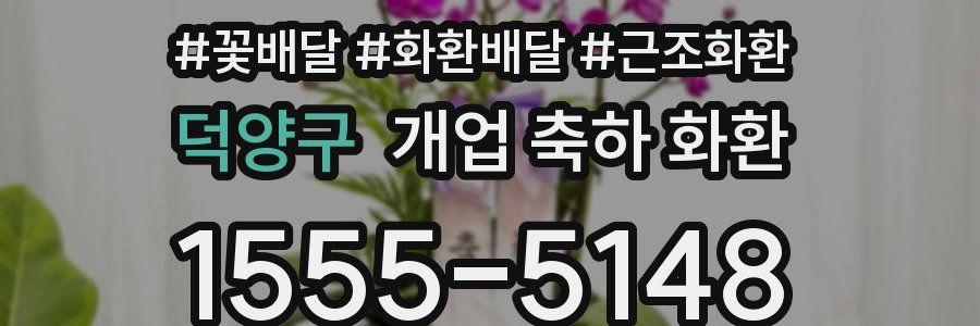 덕양구 개업 축하 화환