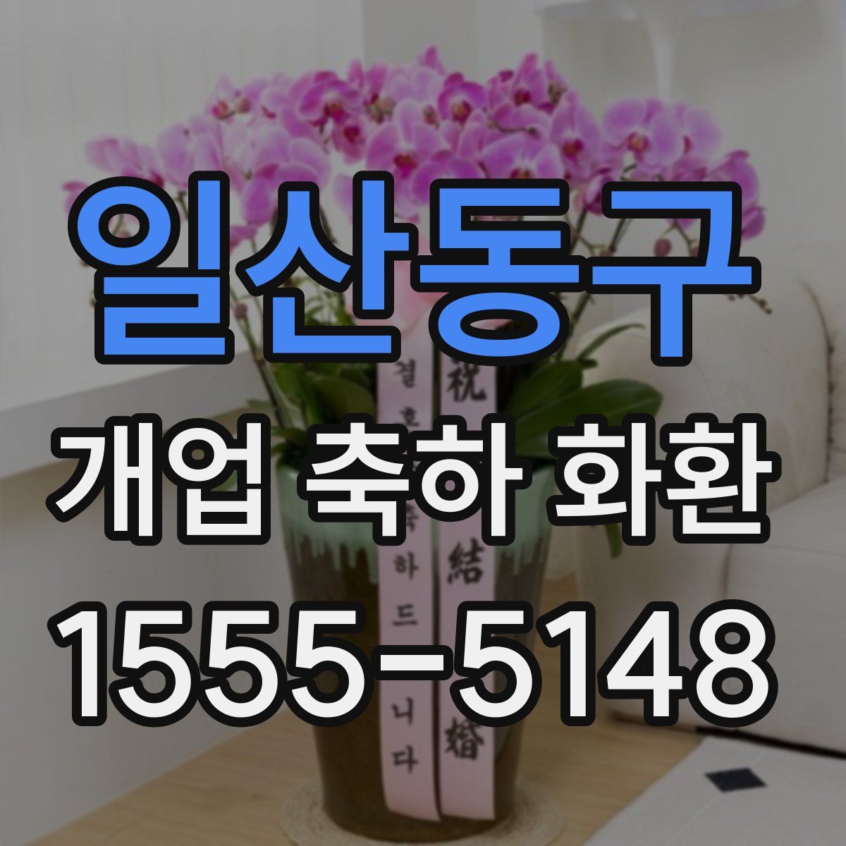 일산동구 개업 축하 화환
