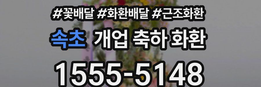 속초 개업 축하 화환