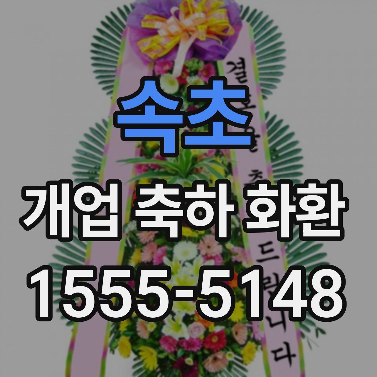 속초 개업 축하 화환