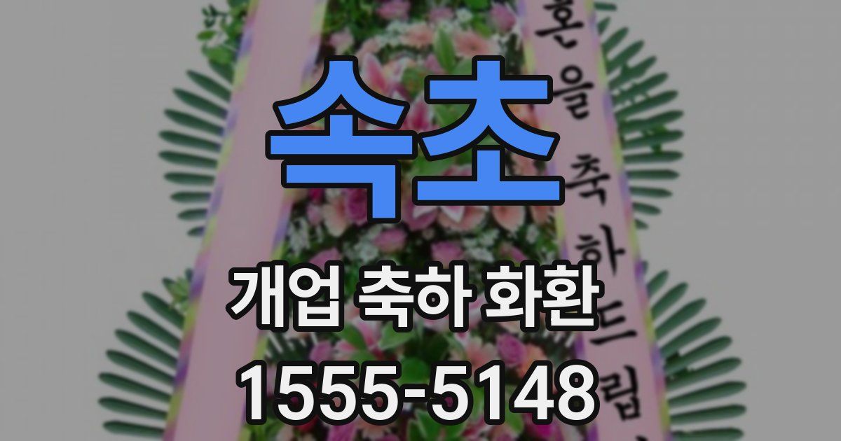 속초 개업 축하 화환