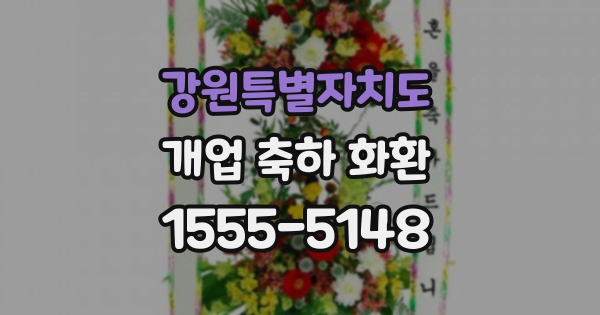 강원특별자치도 개업 축하 화환