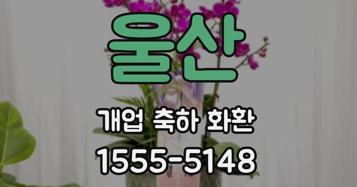 울산 개업 축하 화환
