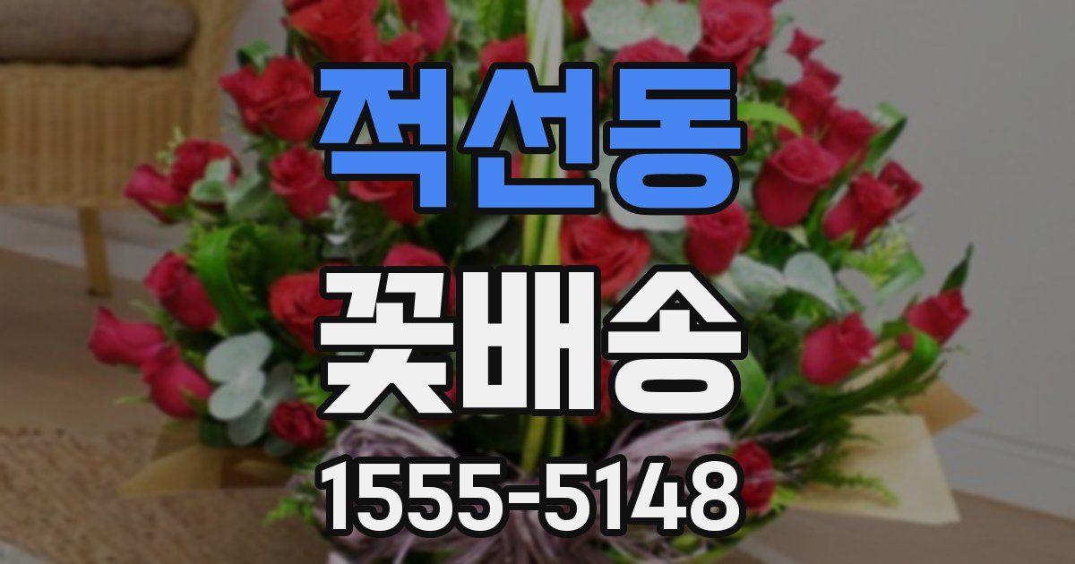 적선동 꽃배송