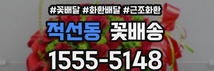 적선동 꽃배송