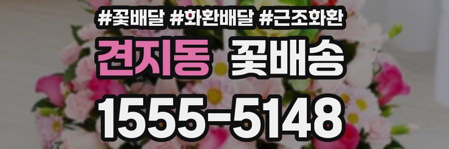 견지동 꽃배송
