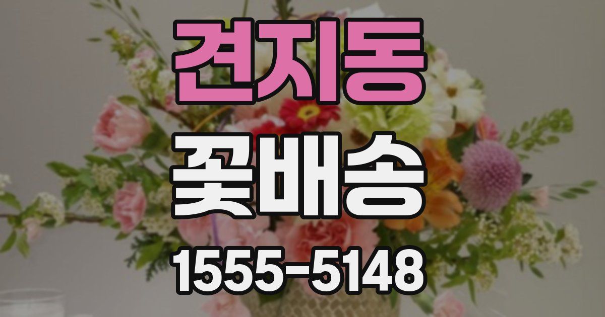 견지동 꽃배송