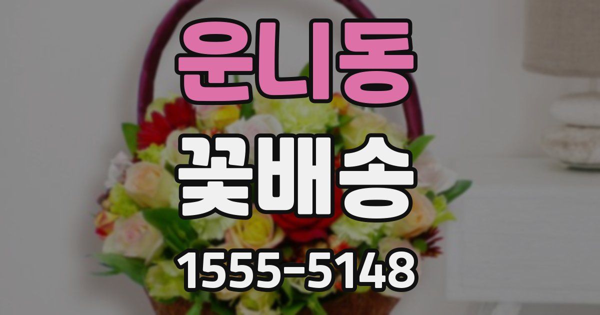 운니동 꽃배송