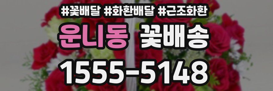 운니동 꽃배송