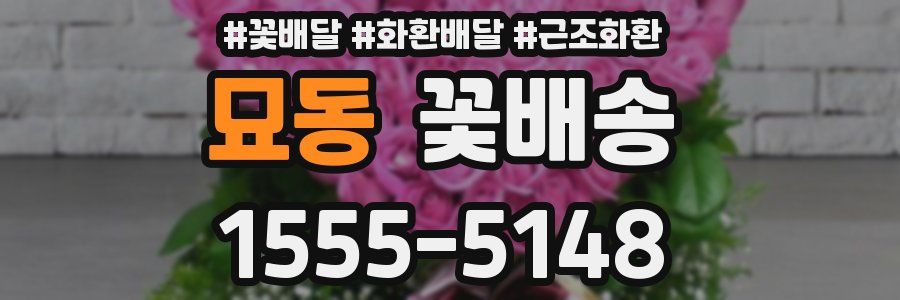 묘동 꽃배송