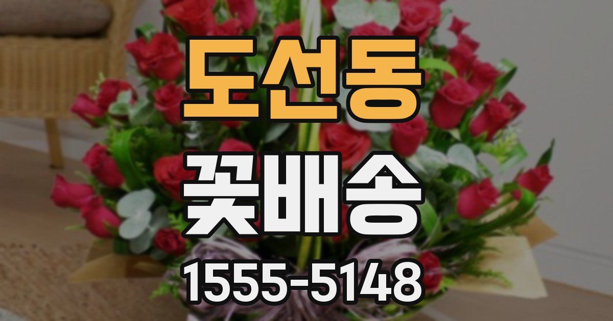 도선동 꽃배송
