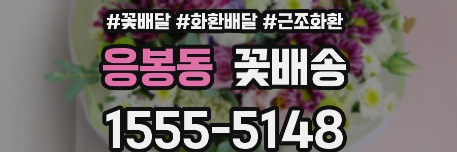 응봉동 꽃배송