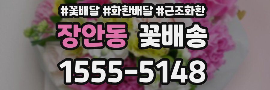 장안동 꽃배송