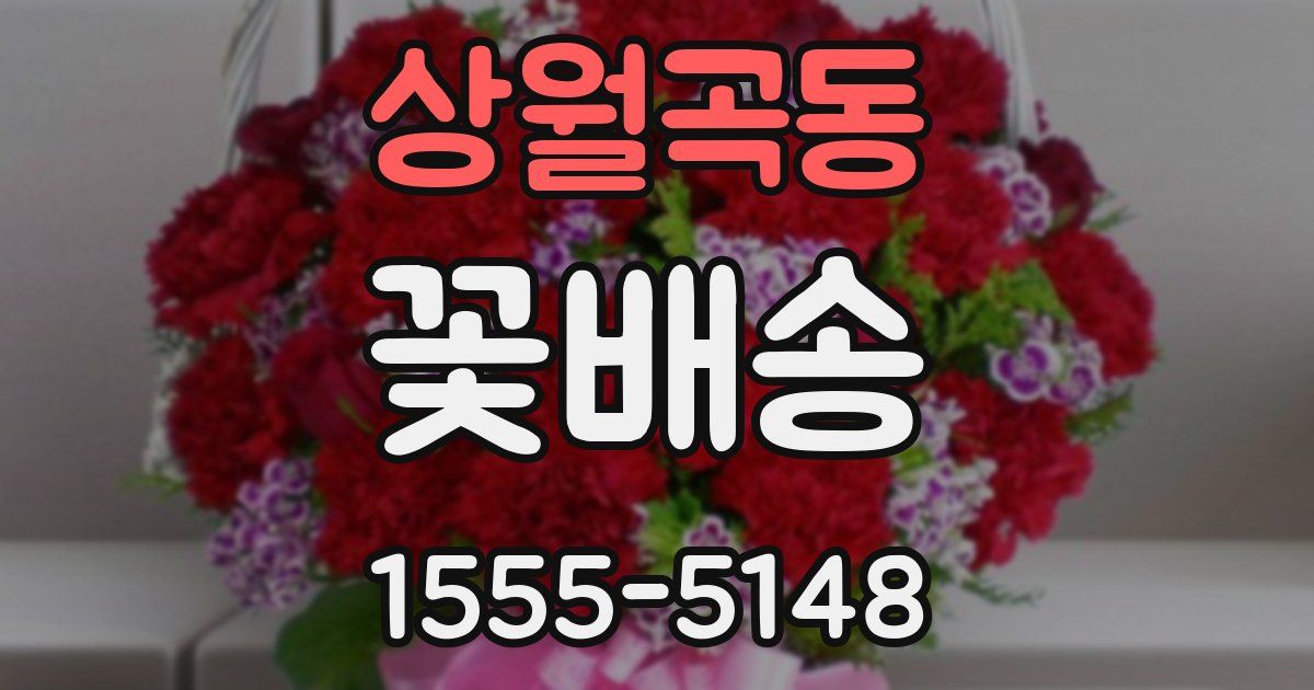 상월곡동 꽃배송