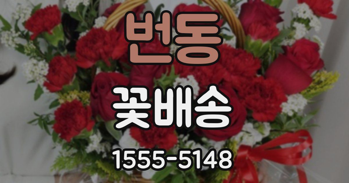 번동 꽃배송