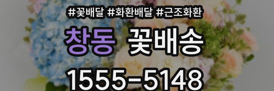 창동 꽃배송