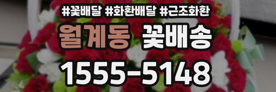 월계동 꽃배송
