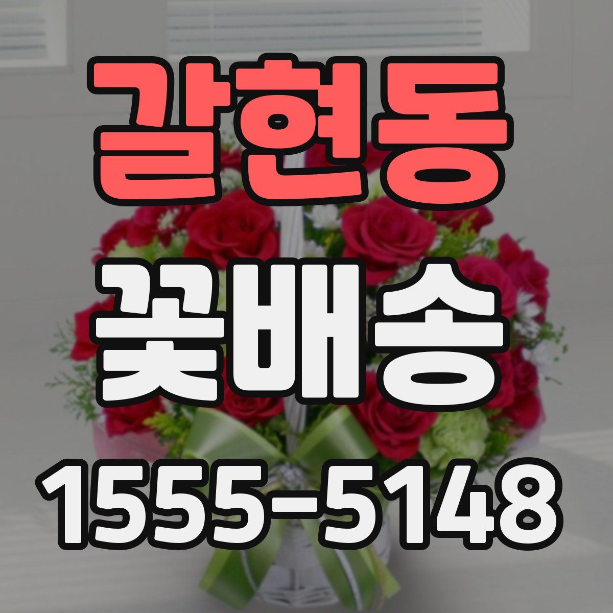 갈현동 꽃배송