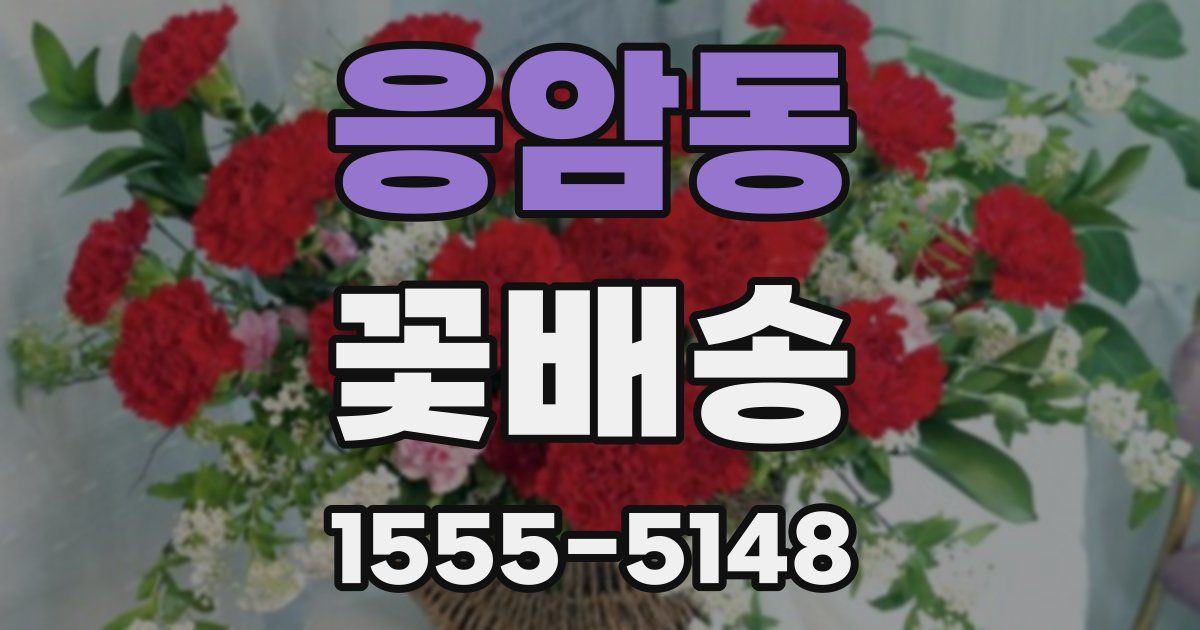 응암동 꽃배송