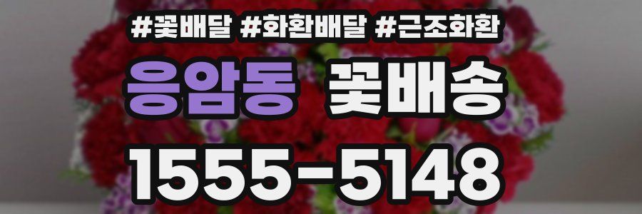 응암동 꽃배송