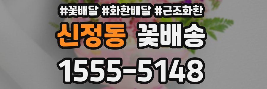 신정동 꽃배송