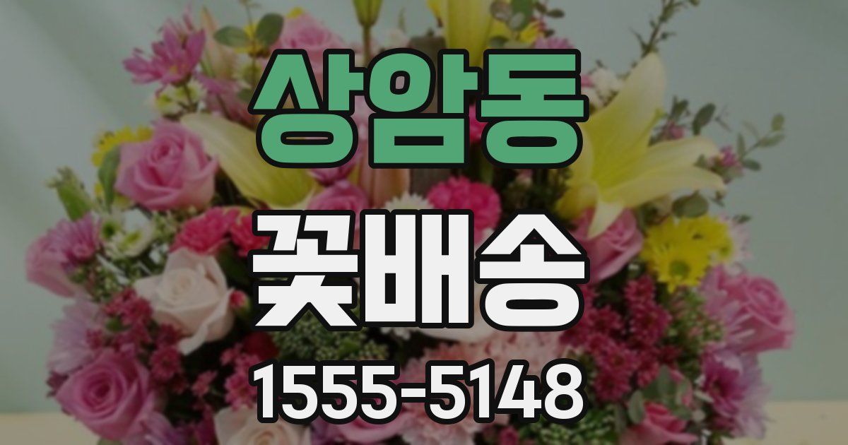 상암동 꽃배송