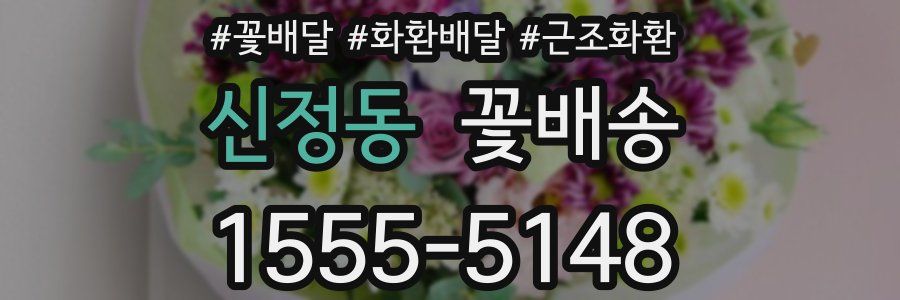 신정동 꽃배송