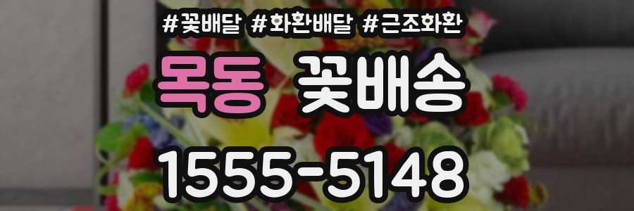 목동 꽃배송
