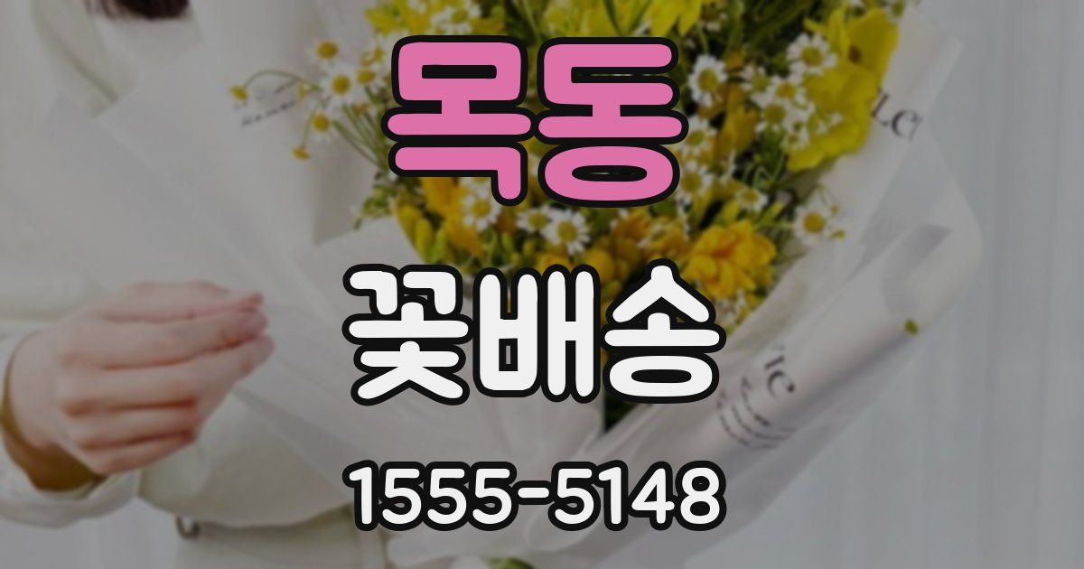 목동 꽃배송