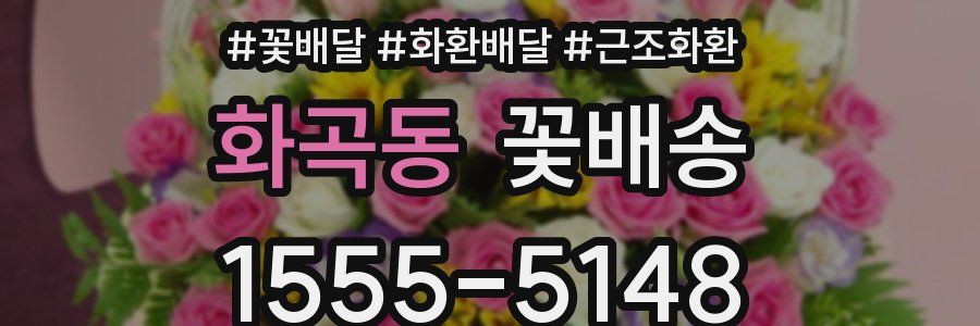 화곡동 꽃배송