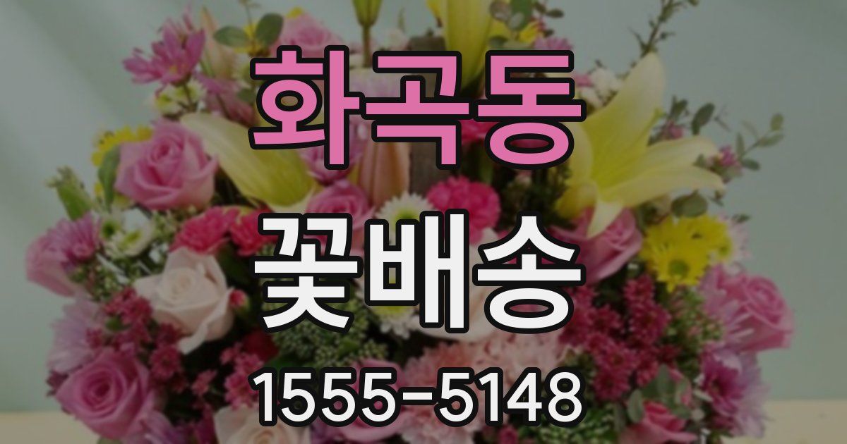 화곡동 꽃배송