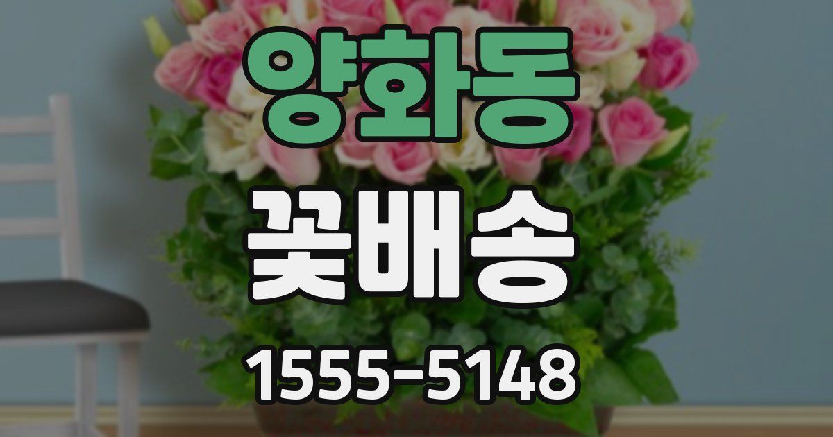 양화동 꽃배송