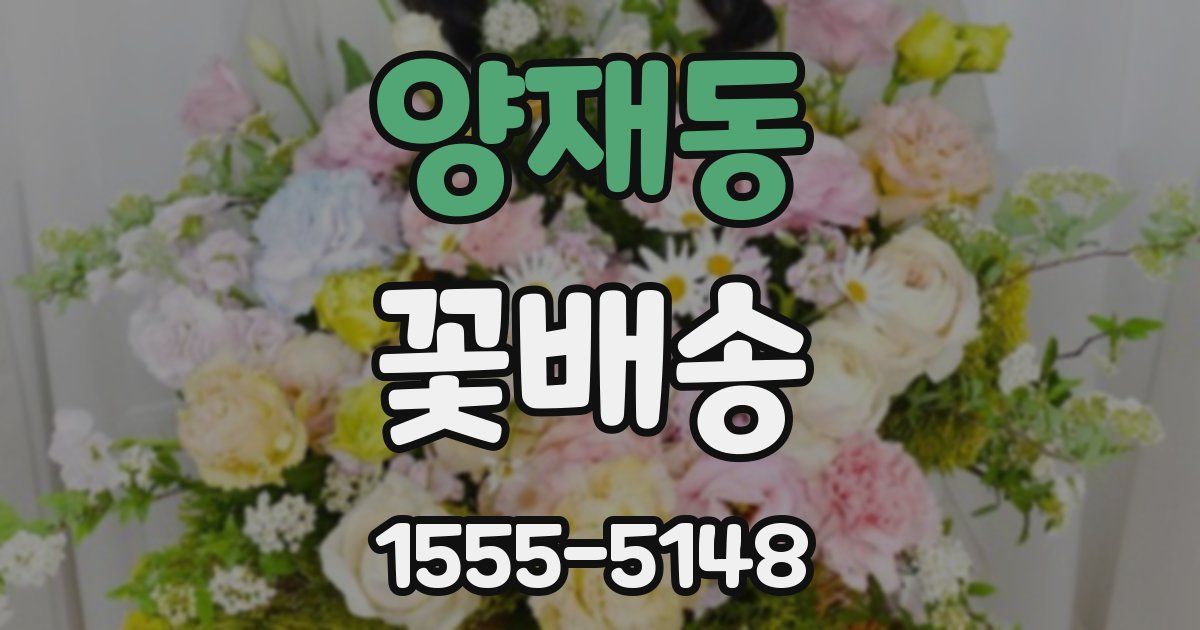 양재동 꽃배송