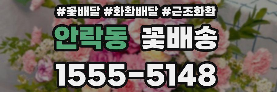 안락동 꽃배송