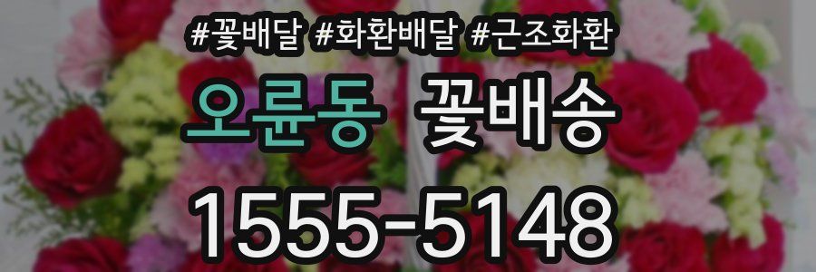 오륜동 꽃배송