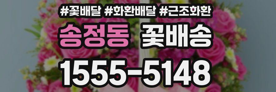 송정동 꽃배송