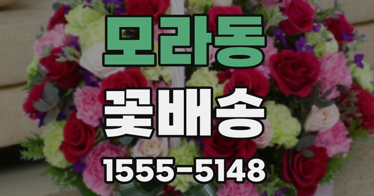 모라동 꽃배송