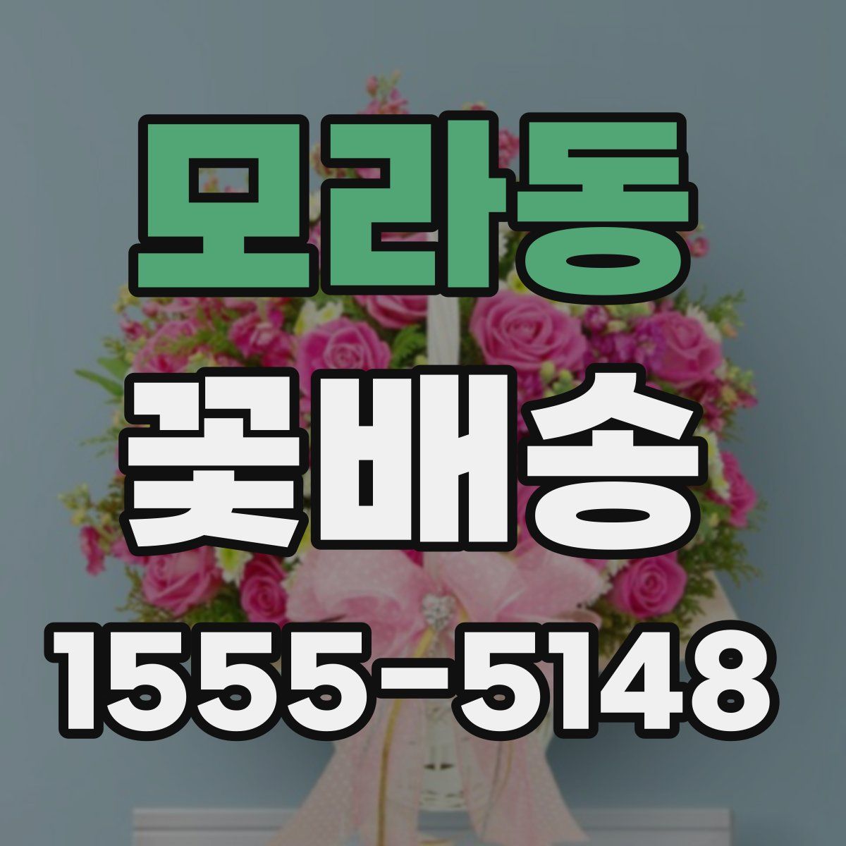 모라동 꽃배송