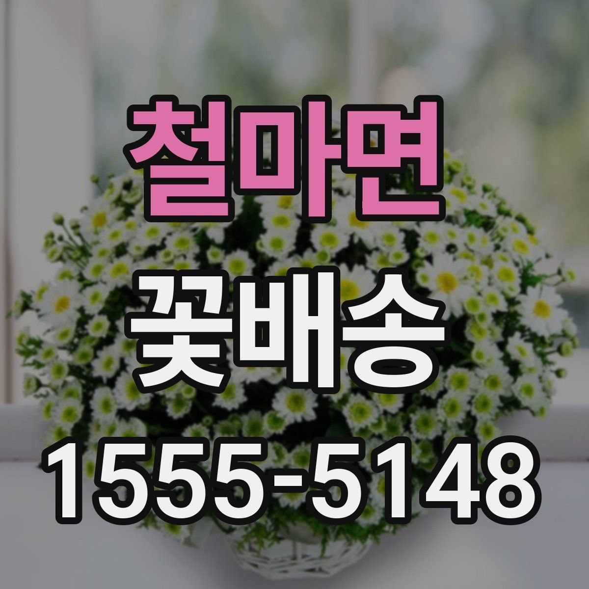 철마면 꽃배송