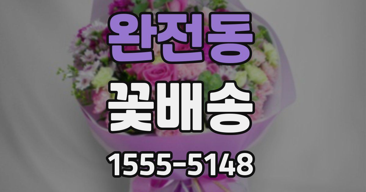완전동 꽃배송