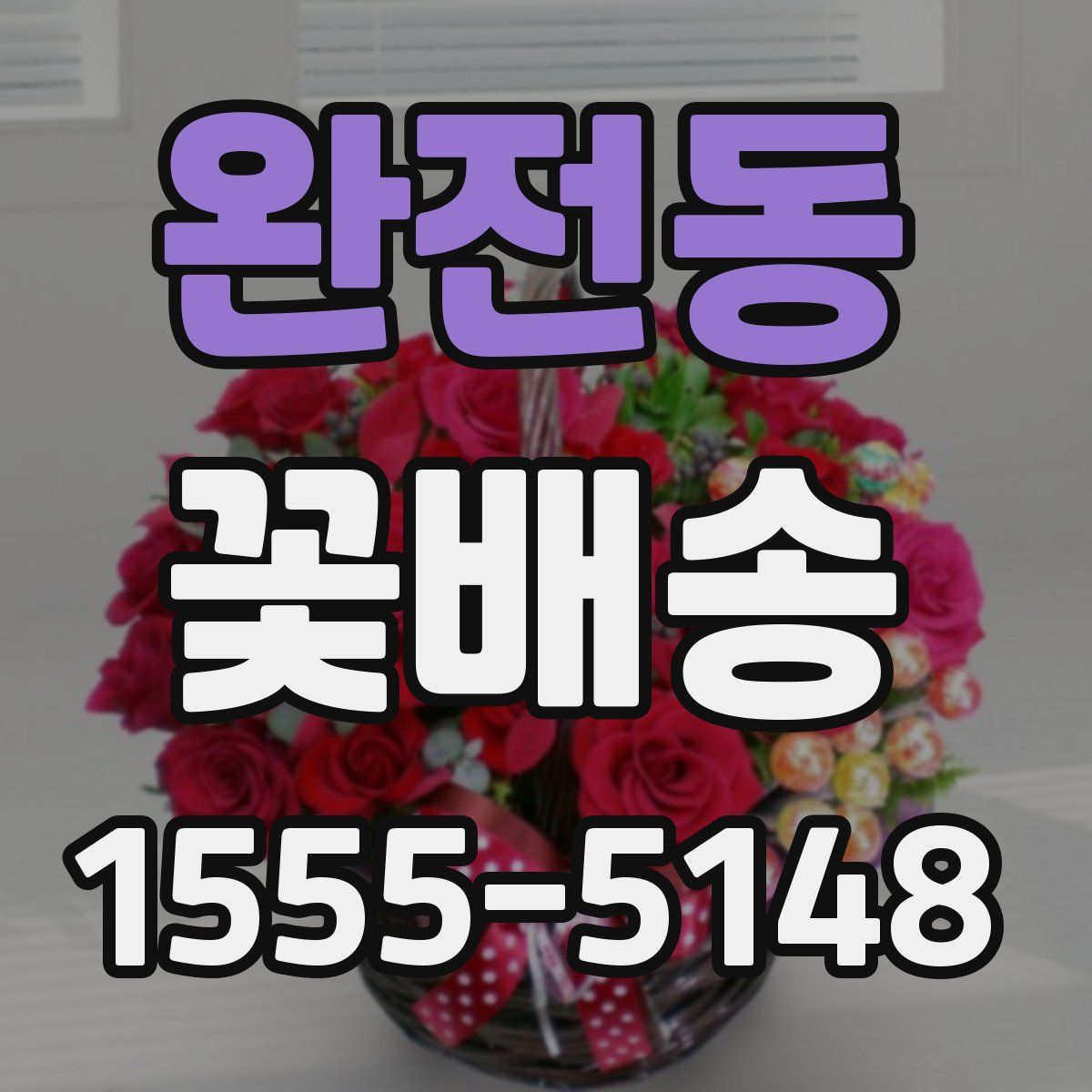 완전동 꽃배송