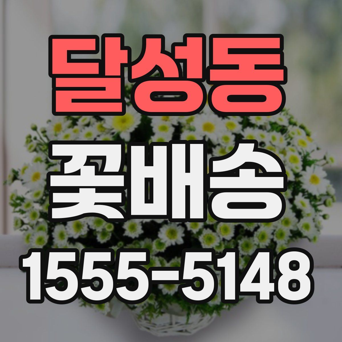 달성동 꽃배송