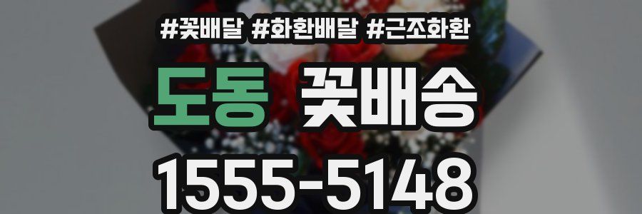 도동 꽃배송