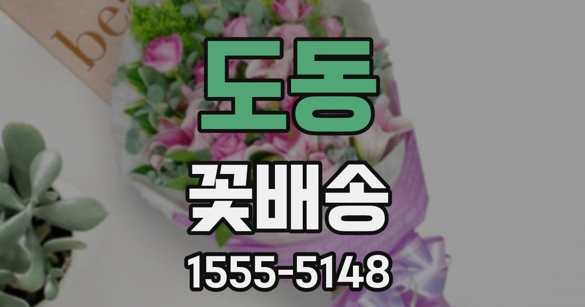 도동 꽃배송
