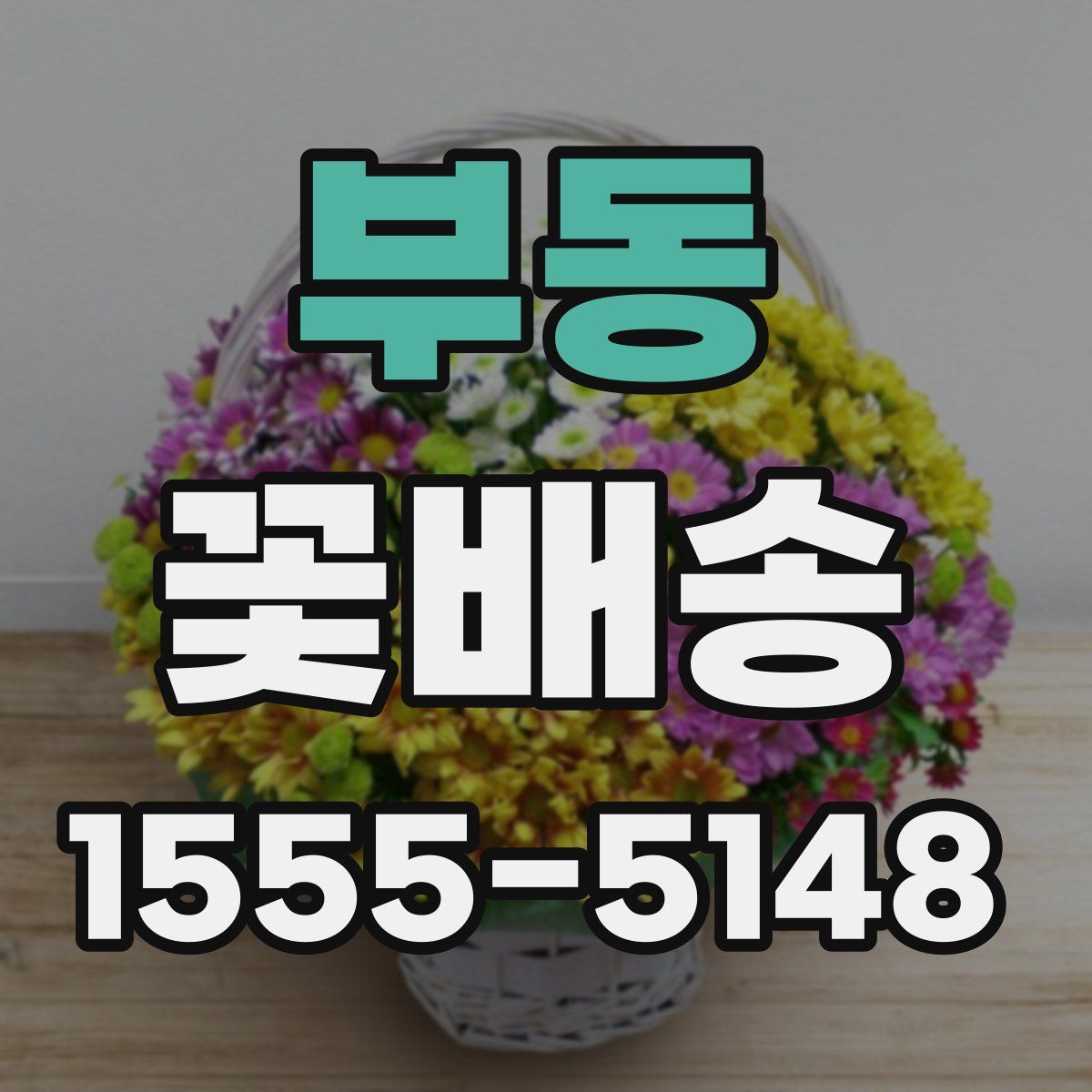 부동 꽃배송