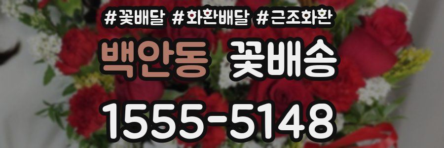 백안동 꽃배송