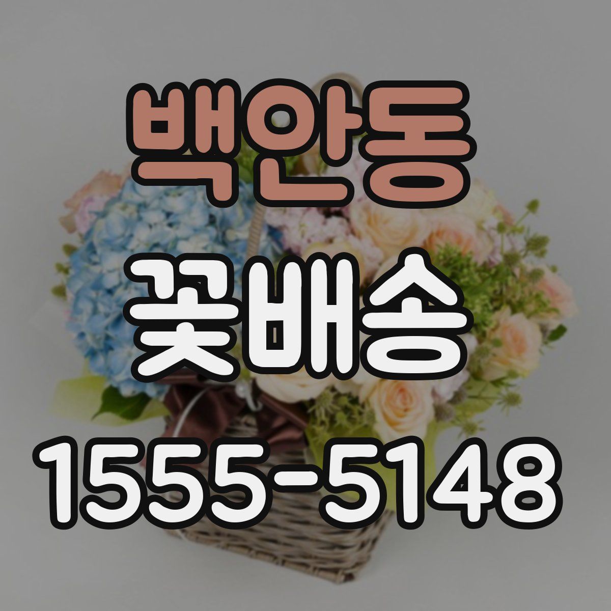백안동 꽃배송