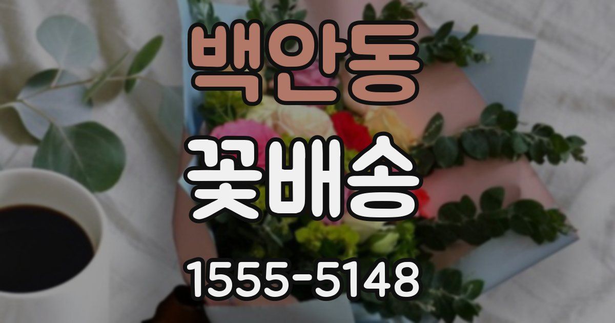 백안동 꽃배송