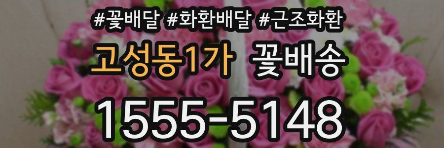 고성동1가 꽃배송